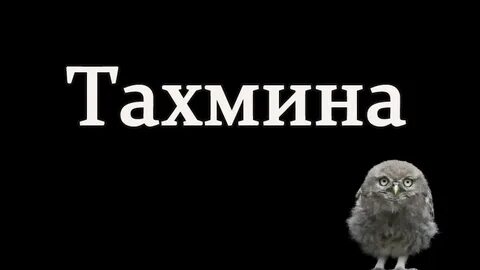 Тахмина твоя