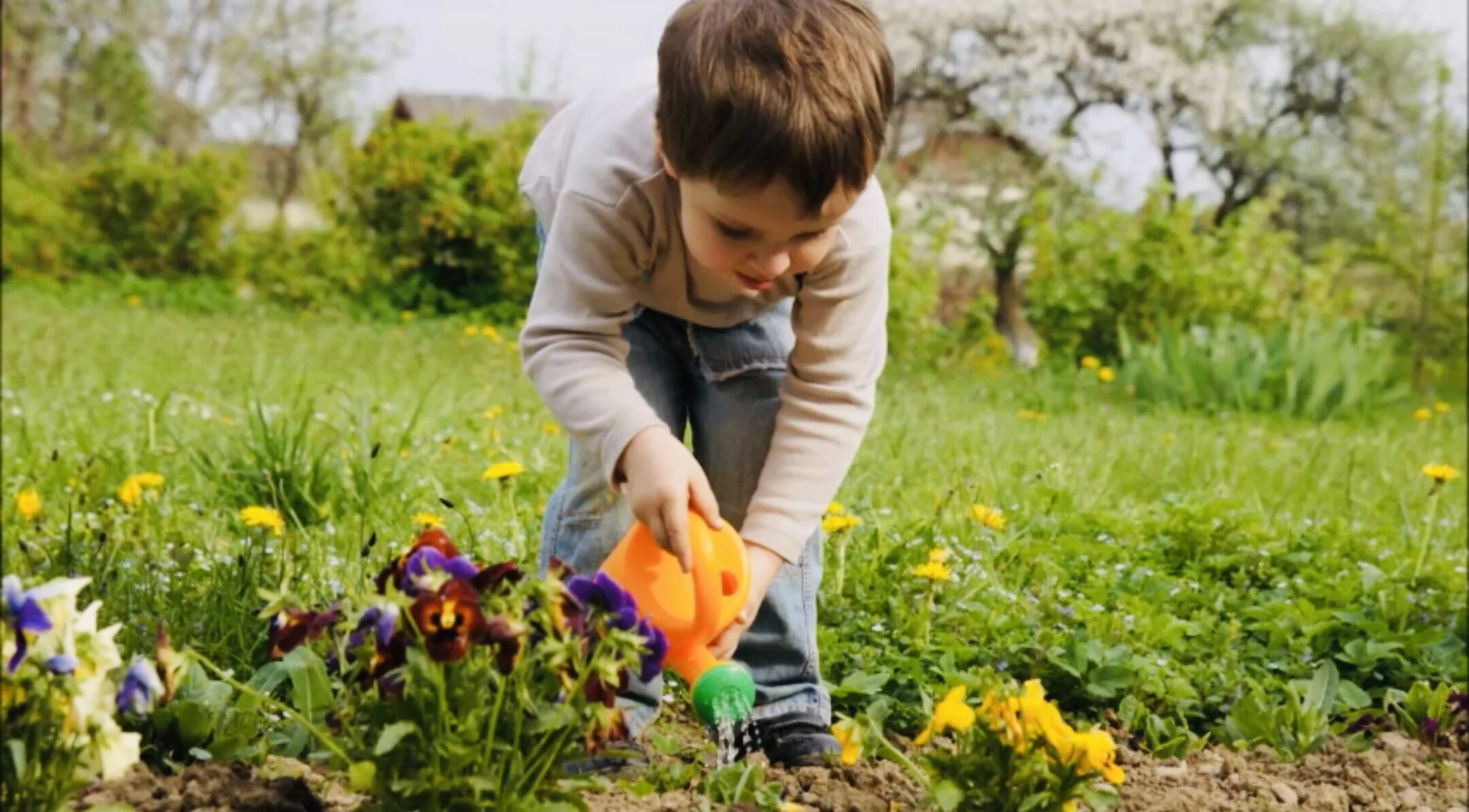 Boys plant. Дети сажают растения. Мальчик сажает цветы. Мальчик поливает растения. Дети сажают цветы весной.