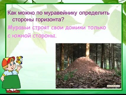 Найдите ситуацию которая иллюстрирует деятельность муравьи строят