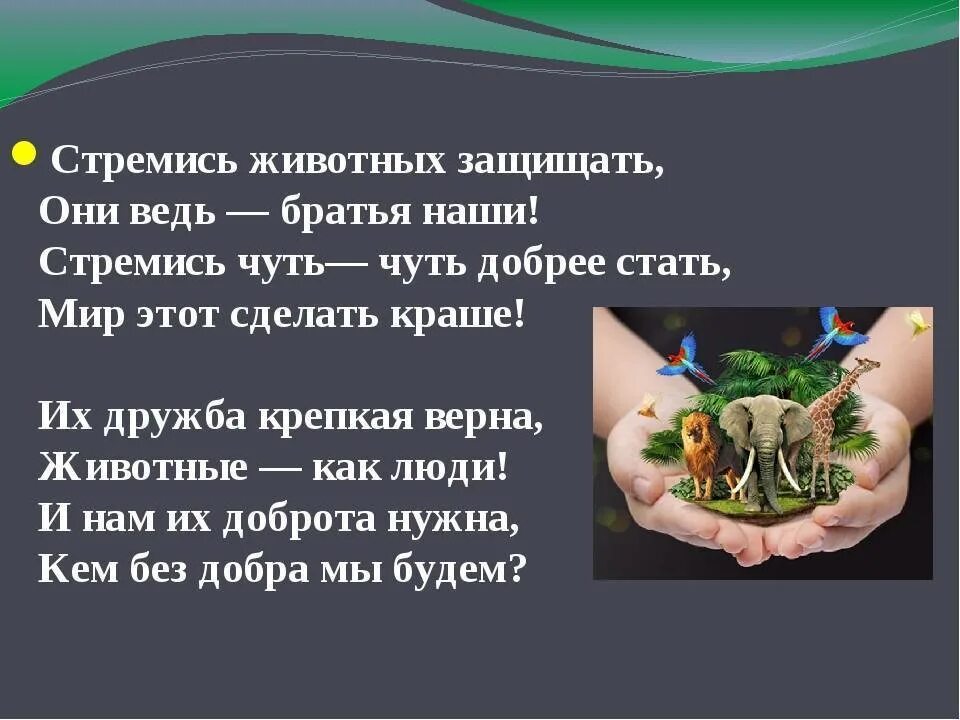 Про защищают. Стихотворение о защите животных. Стихотворение про охрану животных. Стихи о защите животных для детей. День защиты животных презентация.