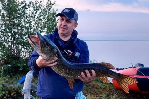 Щука сеансы