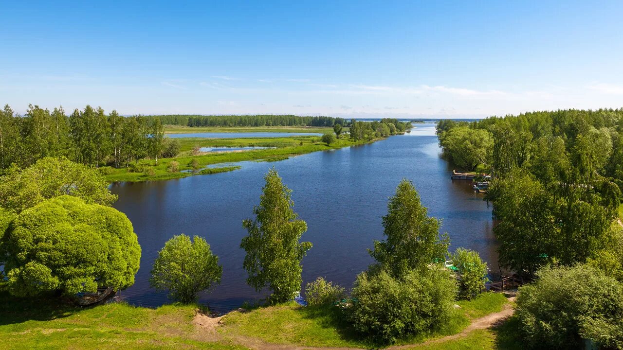 Борок (Некоузский район). Борок Ярославская область озеро. Земли водного фонда Пензенской области. Водные объекты. Реки ярославского края