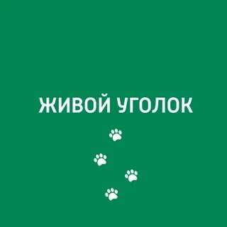 Уголок слушать
