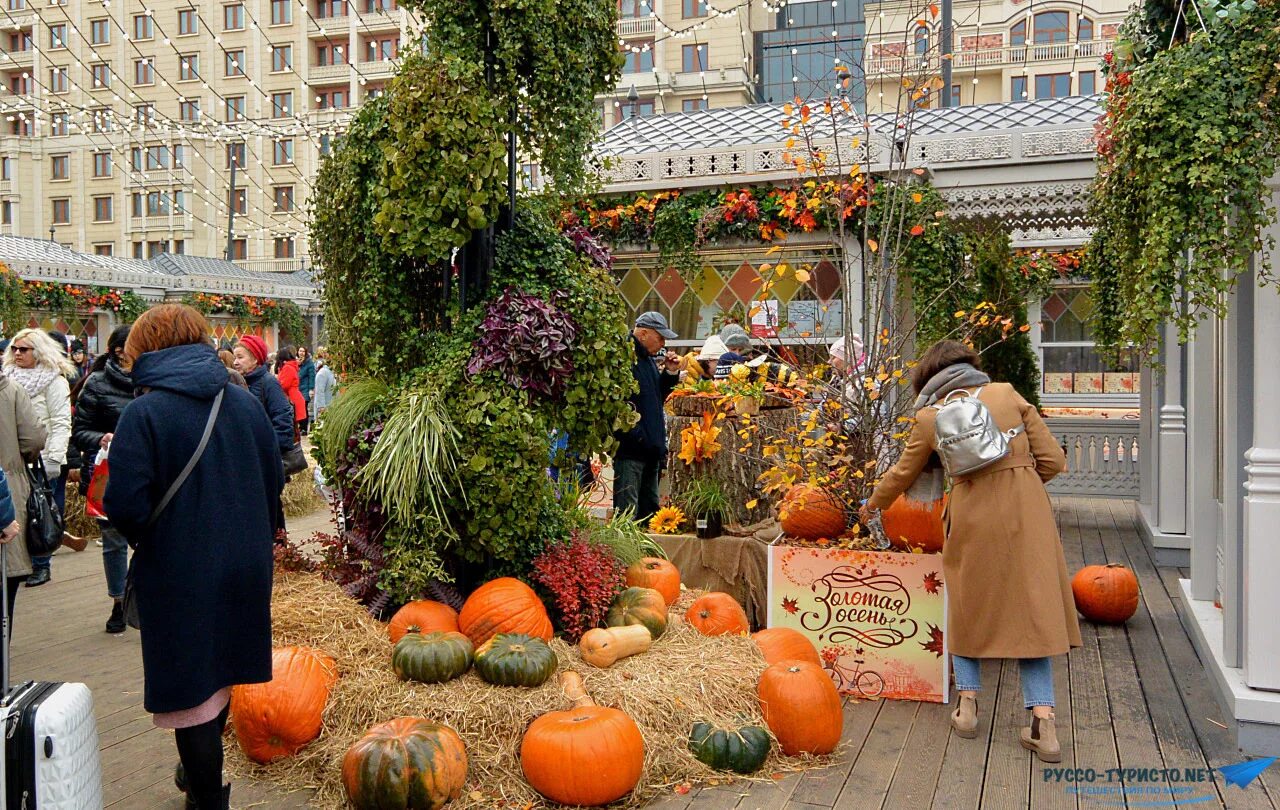 Осенью 2019 года. Фестиваль "Золотая осень" 2019 в Москве. Фестиваль Золотая осень 2021 в Москве. Фестиваль Золотая осень в Новосибирске. Осенний фестиваль.