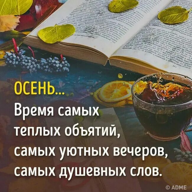 Осень цитаты из книг. Цитаты про осень. осенние цитаты. цитаты про осень и любовь. осенние уютные цитаты.