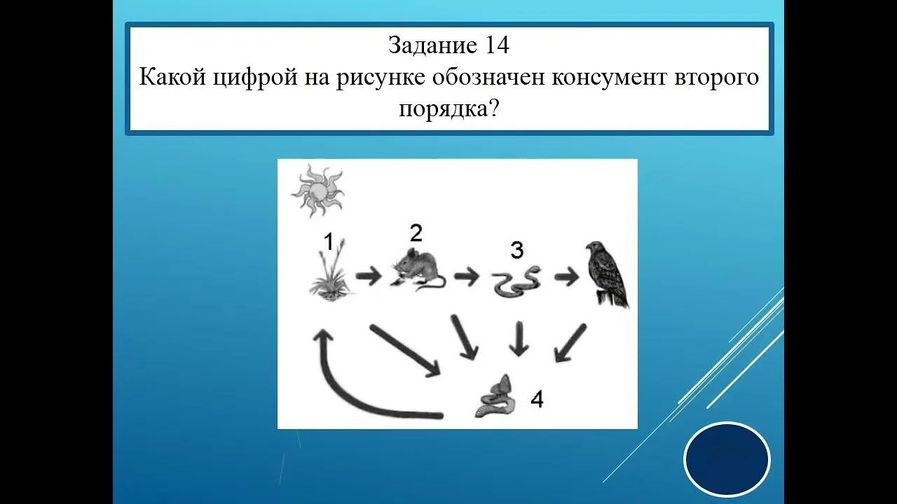 Первое задание ОГЭ биология. ОГЭ по биологии 2022. 16 Задание ОГЭ по биологии. 1 Задание ОГЭ биология. 1 задание огэ биология 9