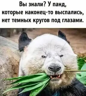 Хочу наконец то