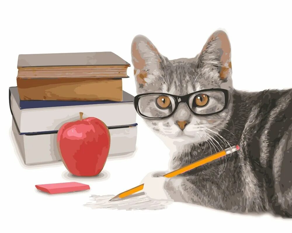 Кошка ученый. Кот с книгой. Котик учит уроки. Котик учится. Умный кот.