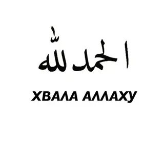 Альхам дуля