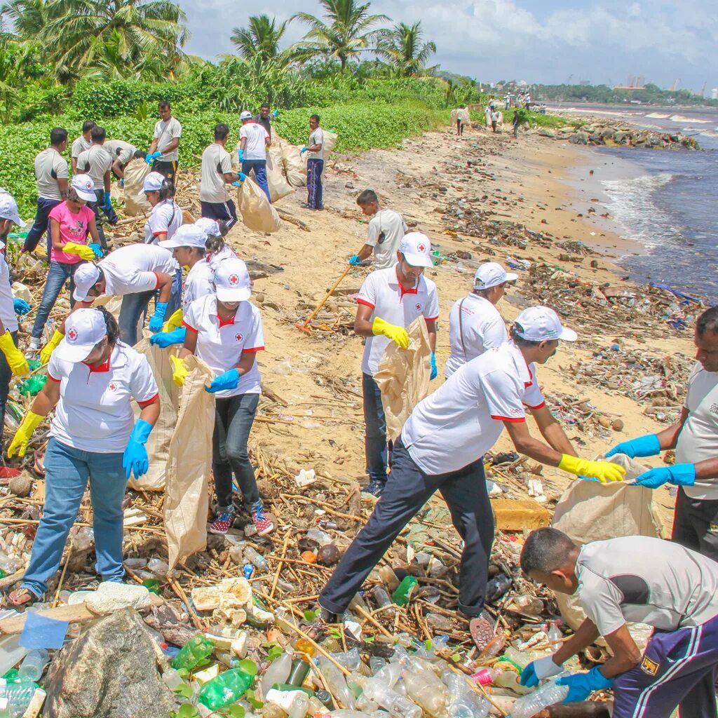 Clean environment. Looking after the environment. картинка clean environment. about environment.