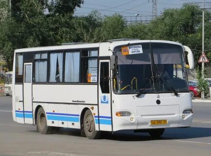 Каргаполье курган автобус на завтра