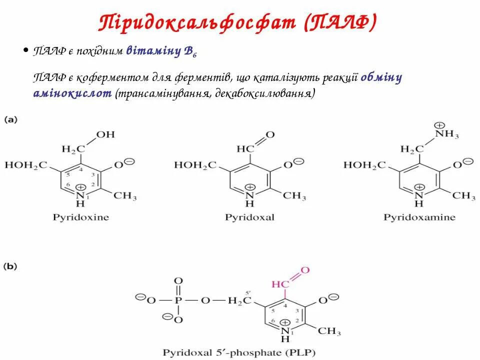 Синтез витамина б. ПАЛФ формула биохимия. ПАЛФ И Памф. Витамин в6 ПАЛФ. Структура ПАЛФ.