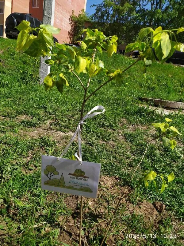 содействие томилино управляющая. компания содействие томилино управляющая компания фото. кпк содействие. группа компаний содействие вологда. содействие пятигорск.