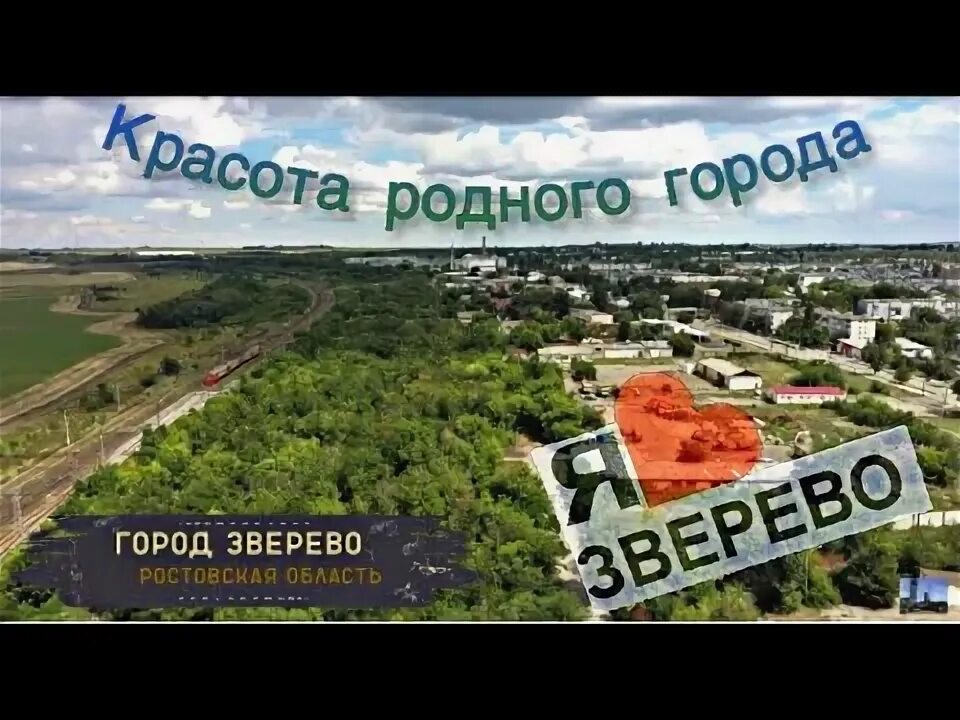 Неделя в зверево ростовской области. Поселок Зверево Ростовской области. Поселений город Зверево. Жители города Зверево Ростовской области. Город Зверево Ростовская область фото.