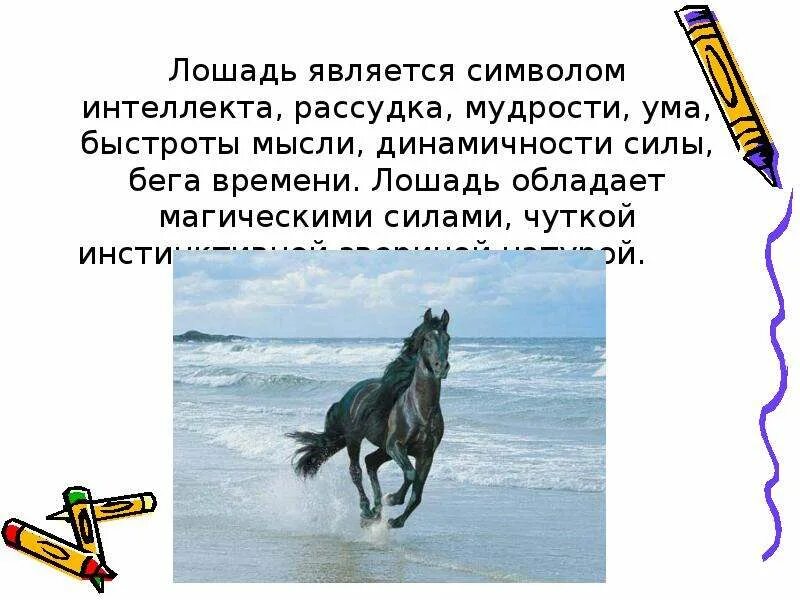 Значение лошадка. Что символизирует конь. Что символизирует лошадь. Символом чего является конь. Лошадь символ чего.