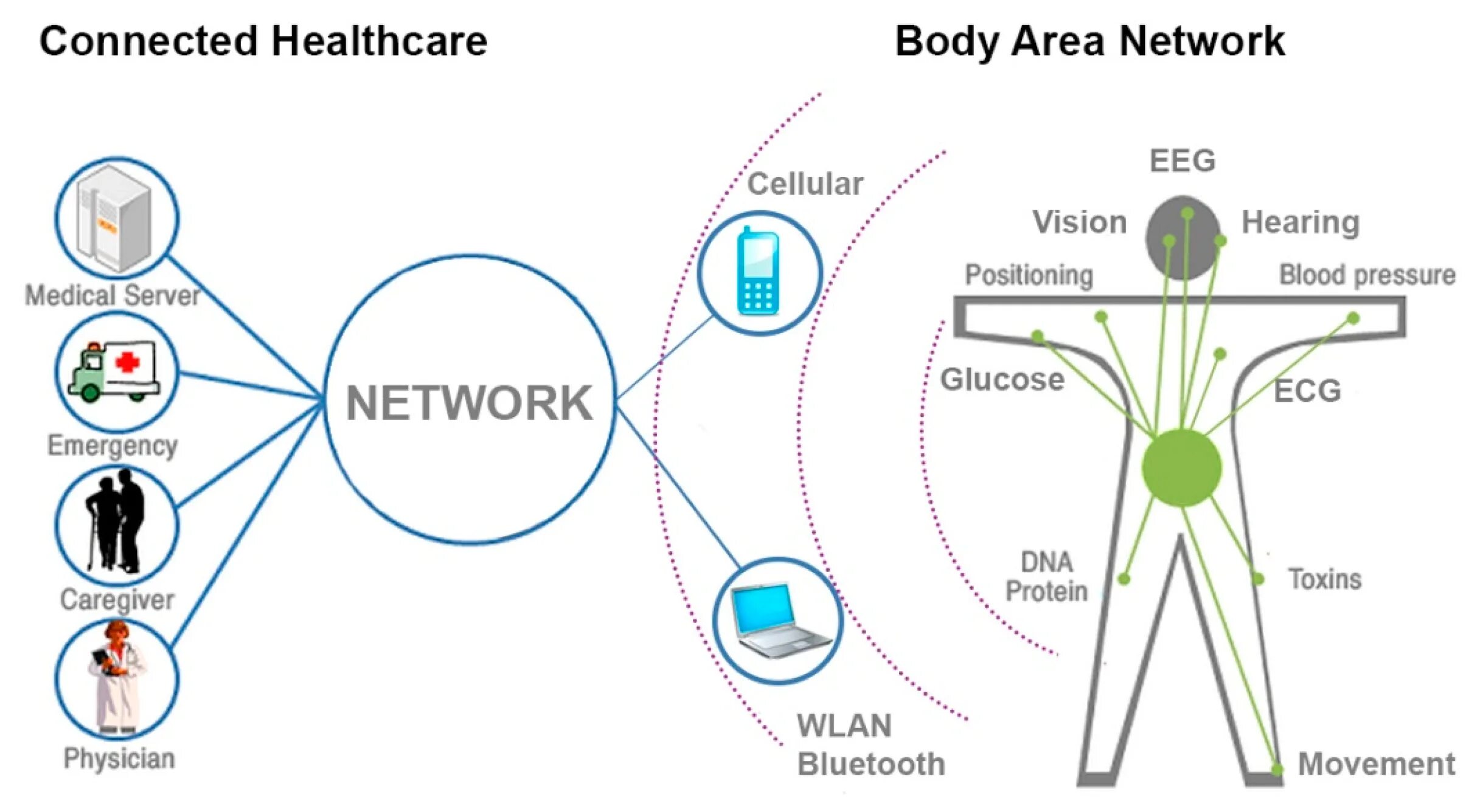 Функция connected. Нательная компьютерная сеть. Ban сеть. Body area Networks. Body area Network пример.