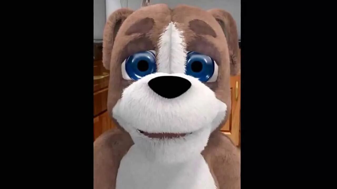 Talking dog 2. Талкинг дуке 2. duke pup 2. talking duke. duke pup 2 котенок.