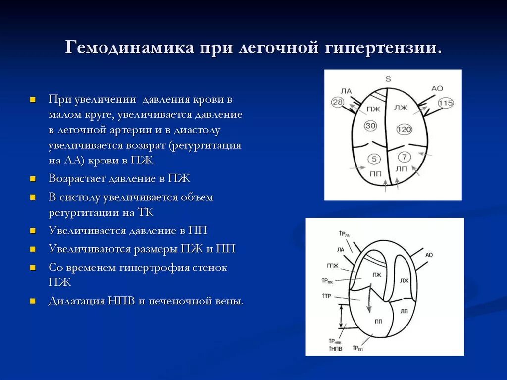 Признаки легочной гипертензии на ЭХОКГ. Легочная гипертензия при эхокардиографии. Легочная гипертензия ЭХОКГ критерии. ЭХОКГ при легочной гипертензии.