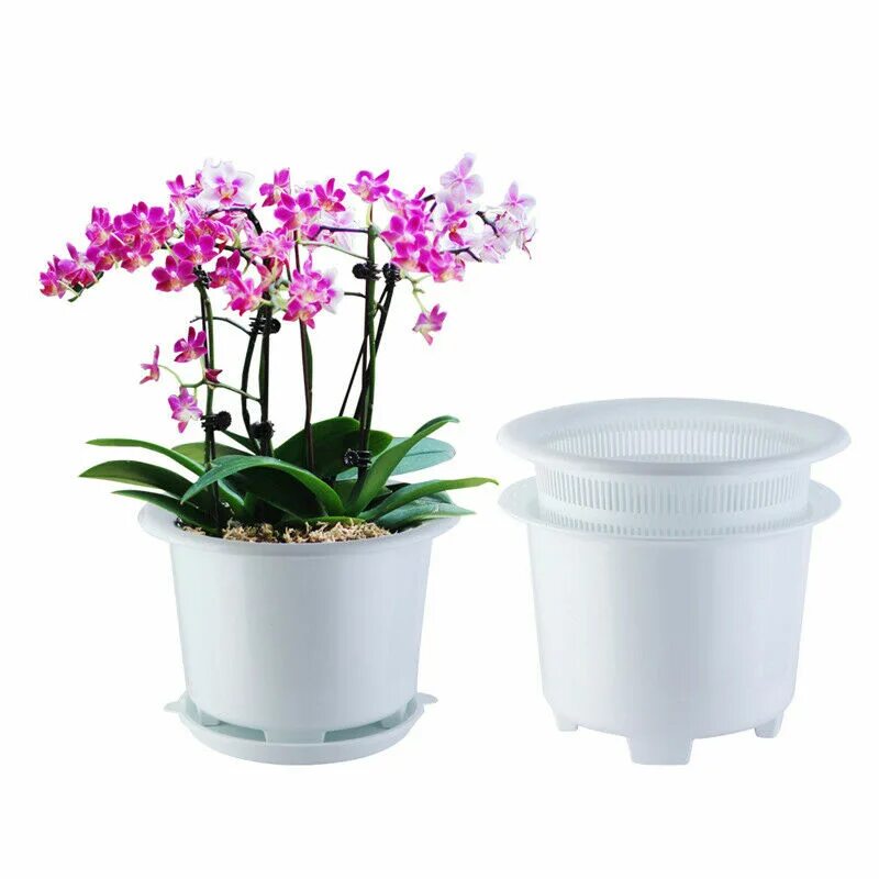 Купить горшки двойные. Горшок Орхидея Техпласт. Горшки 12 см Orchid Pot. Орхидея в горшке Лечуза. Вазон для орхидей.