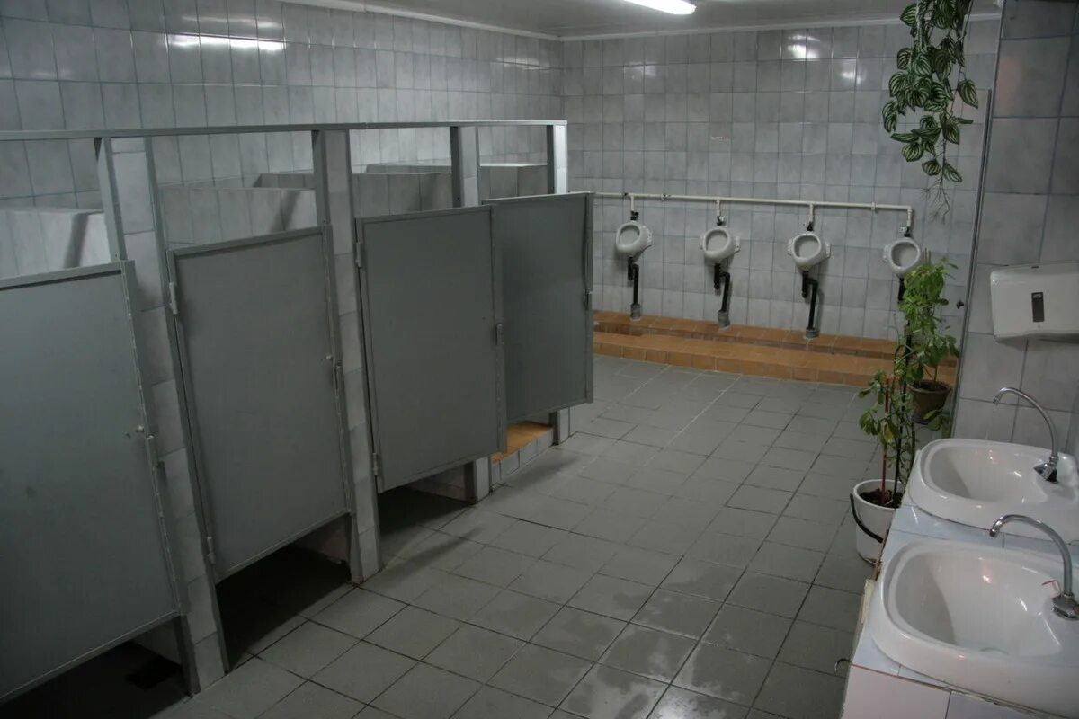 Туалет в школе. Санузел в школе. Унитаз в школе. Туалеты в российских школах. Какие туалеты в школе
