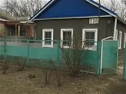 Ст привольная краснодарского. Ст привольная краснодарского. Станица привольная краснодарский край. Ст каневская ул привольная. Привольная каневского р-на краснодарского края.