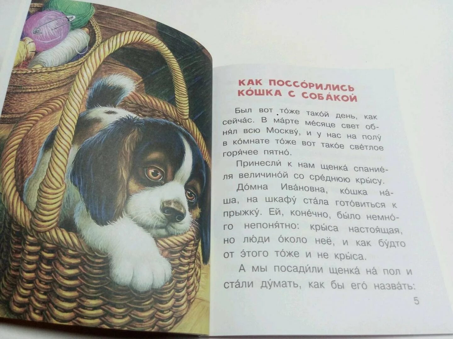 Маленькие детские рассказы про животных. Книги которые стоит прочитать. Рассказ который читала сегодня. Рассказы". Зачем читать детям сказки.