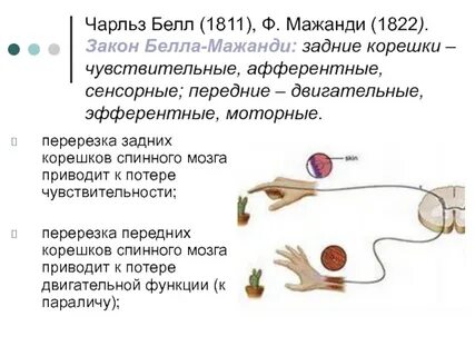 Ускоряющая передача