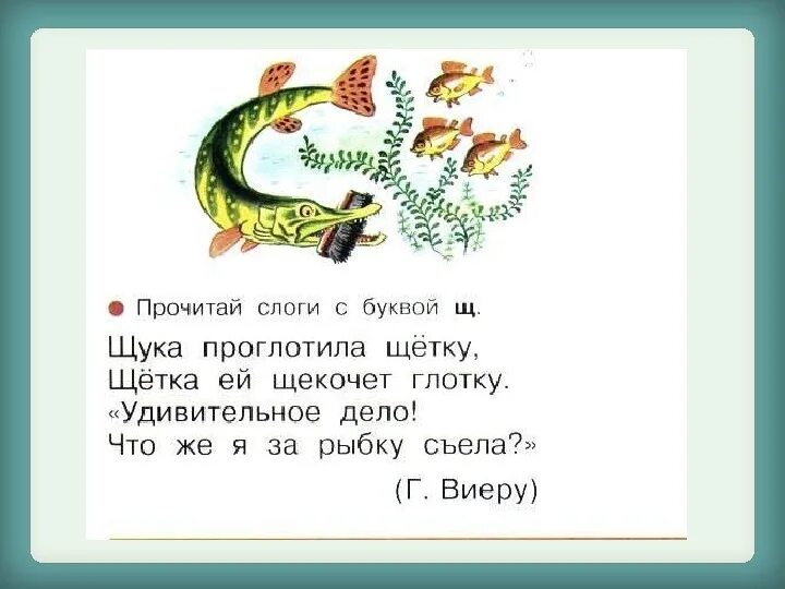 Окунь кофе болото скороговорка. Стих про щ. Стихи со звуком щ для детей. Скороговорки на букву щ для дошкольников. Стишок про щуку для малышей.