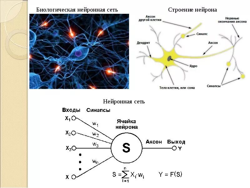 Синапс в нейронных сетях это. Схема работы искусственной нейронной сети. Нейросеть Нейроны. Искусственный Нейрон электрическая схема.