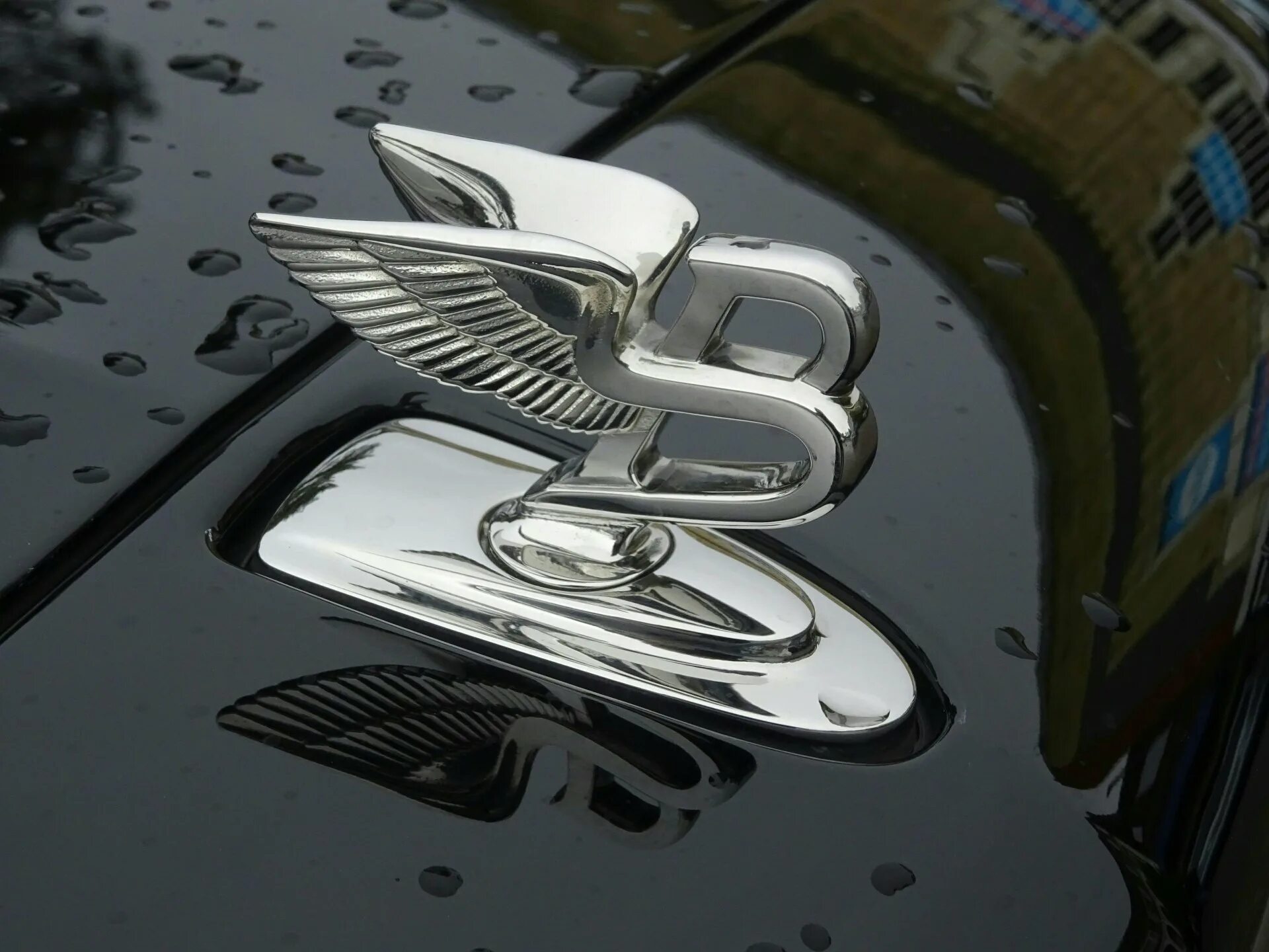 Значок на капоте. Знак Бентли. Знак Бентли на капоте. Бентли логотип на капоте. Bentley шильдик.