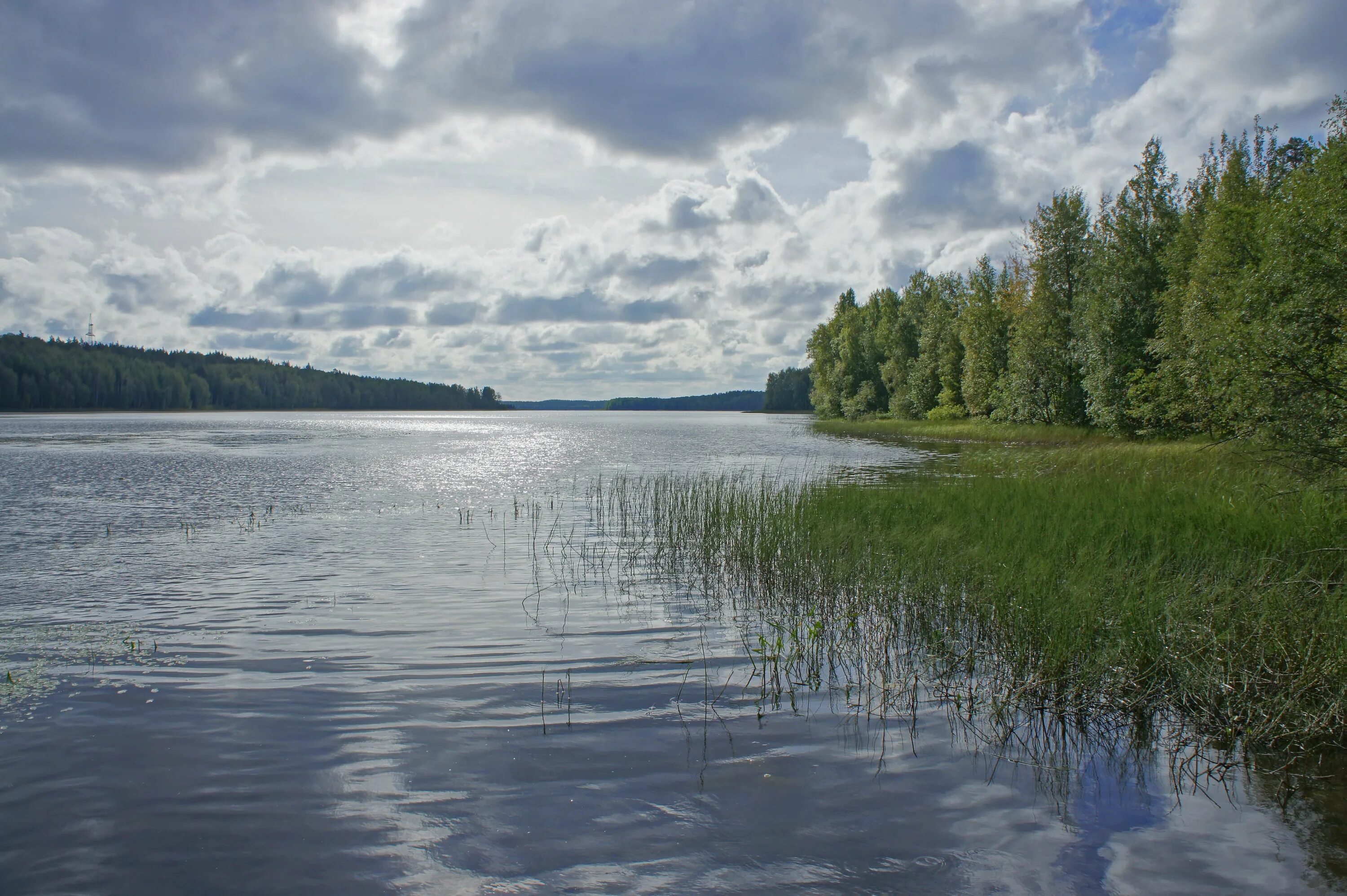 Водами онеги. Озеро Габозеро Карелия. Озеро Пертозеро Карелия. Кондопога озеро. Габозеро (озеро, Кончезерское сельское поселение).