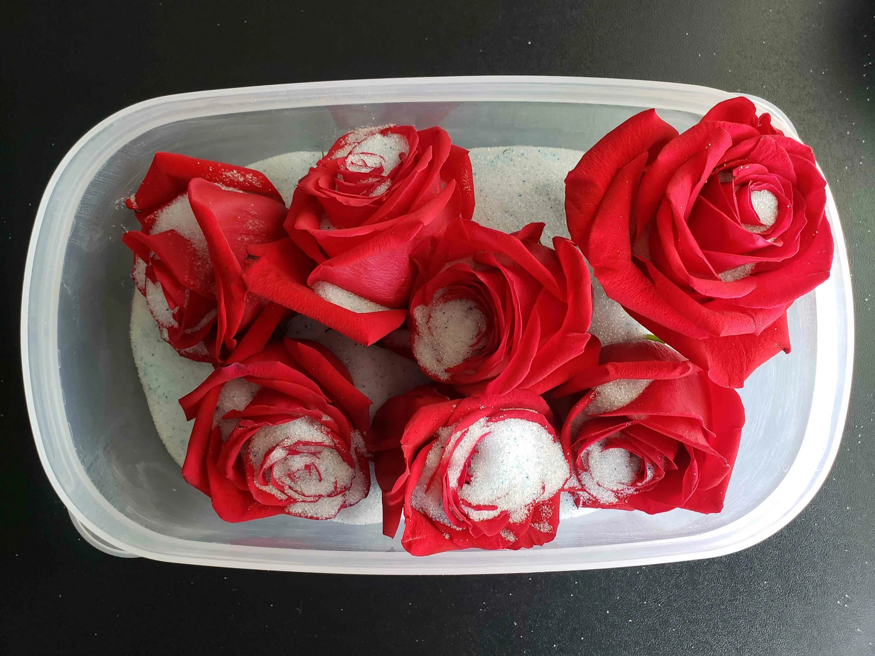 Сухие розы фото. Сохранение розы в манке. Как можно сохранить розу
