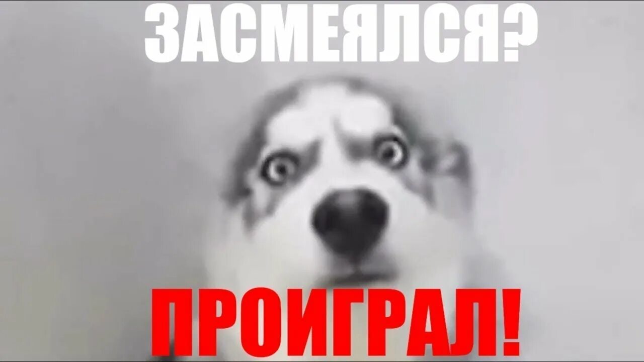 Кто проиграет тот лежит