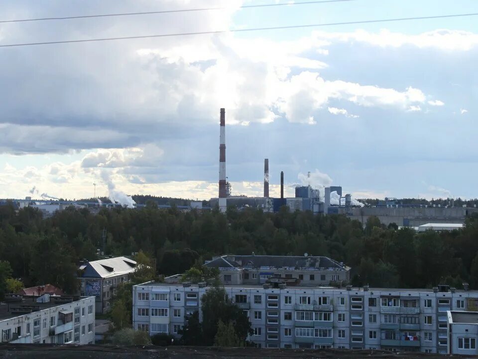 Город Светогорск Выборгского района. Светогорск Ленинградская. Население города Светогорск Ленинградская область. Г. Светогорск Выборгского района Ленинградской области. Погода светогорск ленинградская область