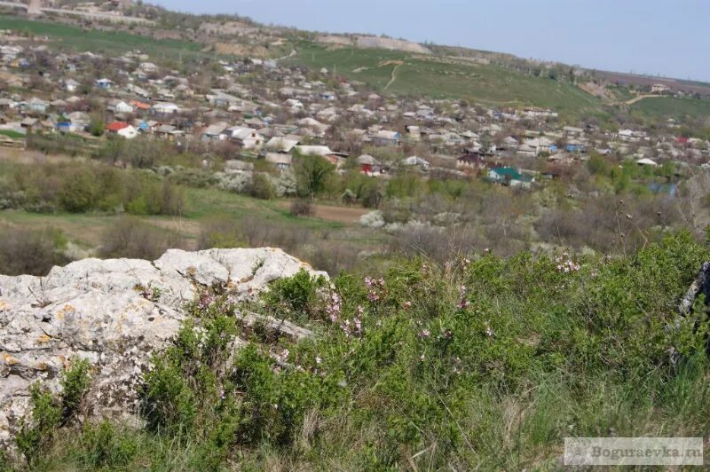 Ильич краснодарский край отрадненский район. Хутор богураев штанковская. Богураев белокалитвинский район мечетный хутор. Заповедник скалы ростовская область. Скала зайцевка ростовская.