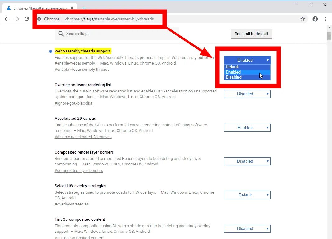 Flags disable accelerated. Flags disable accelerated