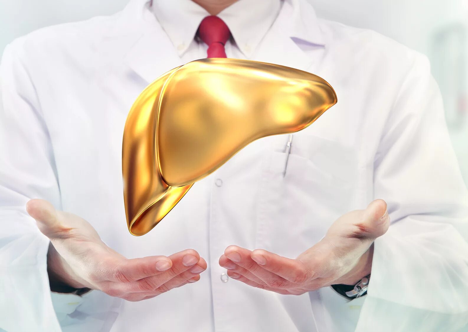 Врач отвечающий за печень. Врач отвечающий за печень. Врач отвечающий за печень. Барьерная функция печени. Врач отвечающий за печень.
