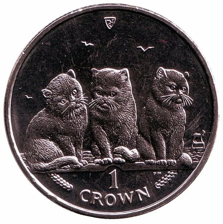 Кот монетку. Кошачья монета catcoin 2. кот с монетами. серебряные монеты с кошками. монеты с котами и кошками.