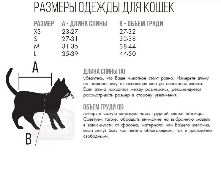 Как определить размер шлейки для кота. Размер шлейки для кошек таблица. Как измерить кота для шлейки. Как определитьтразмер шлейки для кошки.