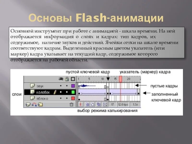 Где отображается информация. Основы мультипликации. flash-анимация основные принципы. основы анимации. информация на шкале времени.