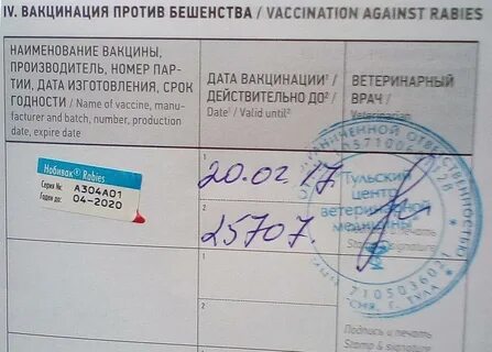 Прививки от бешенства когда можно пить