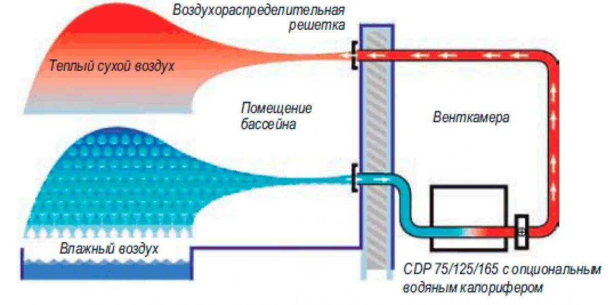 Теплый поток воздуха. Канальный осушитель схема. Осушитель для бассейна схема. Осушитель для бассейна принцип работы. Схема осушителя воздуха для бассейна.