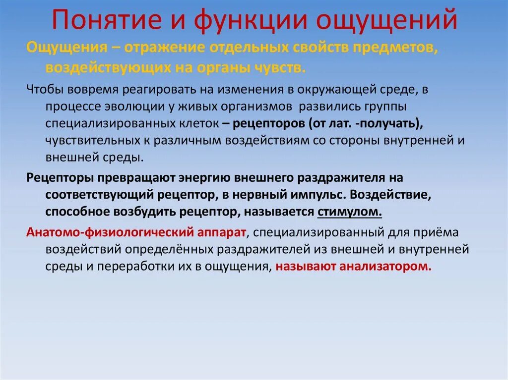 Факторы ощущения. Функции ощущений. Функции ощущений в психологии. Функции процесса ощущения. Понятие и виды ощущений.