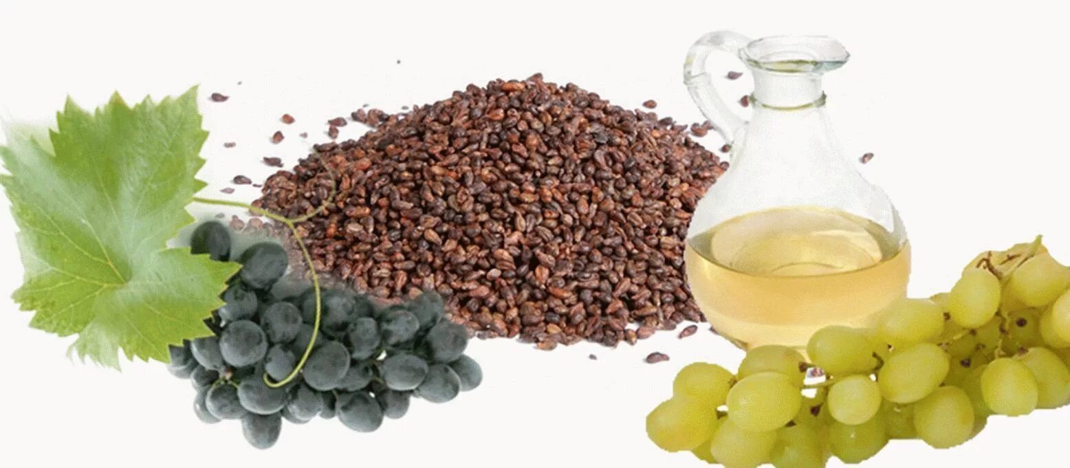 Grapeseed Oil виноградное масло. Виноградная косточка. Косточки винограда. Виноград виноградные косточки.