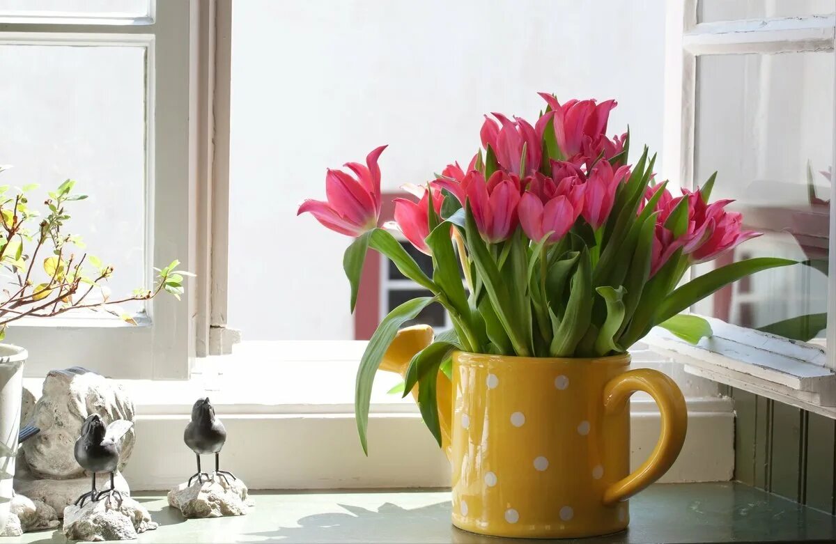 Тюльпаны на окне. Цветы на подоконнике тюльпаны. Тюльпаны в вазе на окне. Букет тюльпанов на подоконнике.