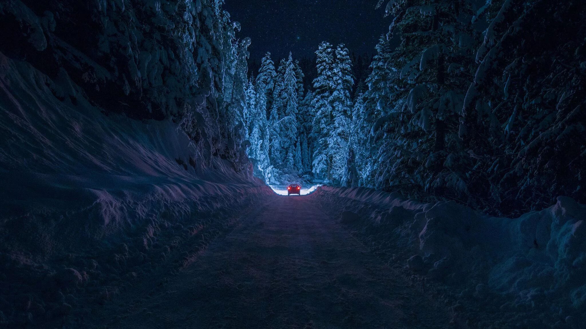 Light in the dark 2. Зимний лес ночью. Заснеженный лес ночью. Дорога зима ночь. Зимняя дорога ночью.