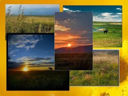Природные зоны края
