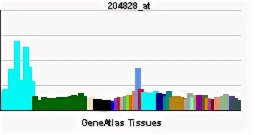 Rad 9. Solid state logic 9000. Rad 9. Велопарковки. Протеомика картинки.