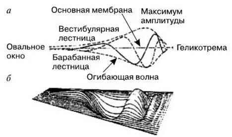 Теория бекеши