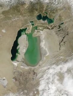 Реки аральского моря